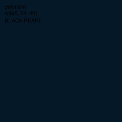 #051828 - Black Pearl Color Image